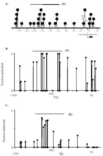 Prostamax_20mg_Abb2 Prostamax_20mg_Abb2